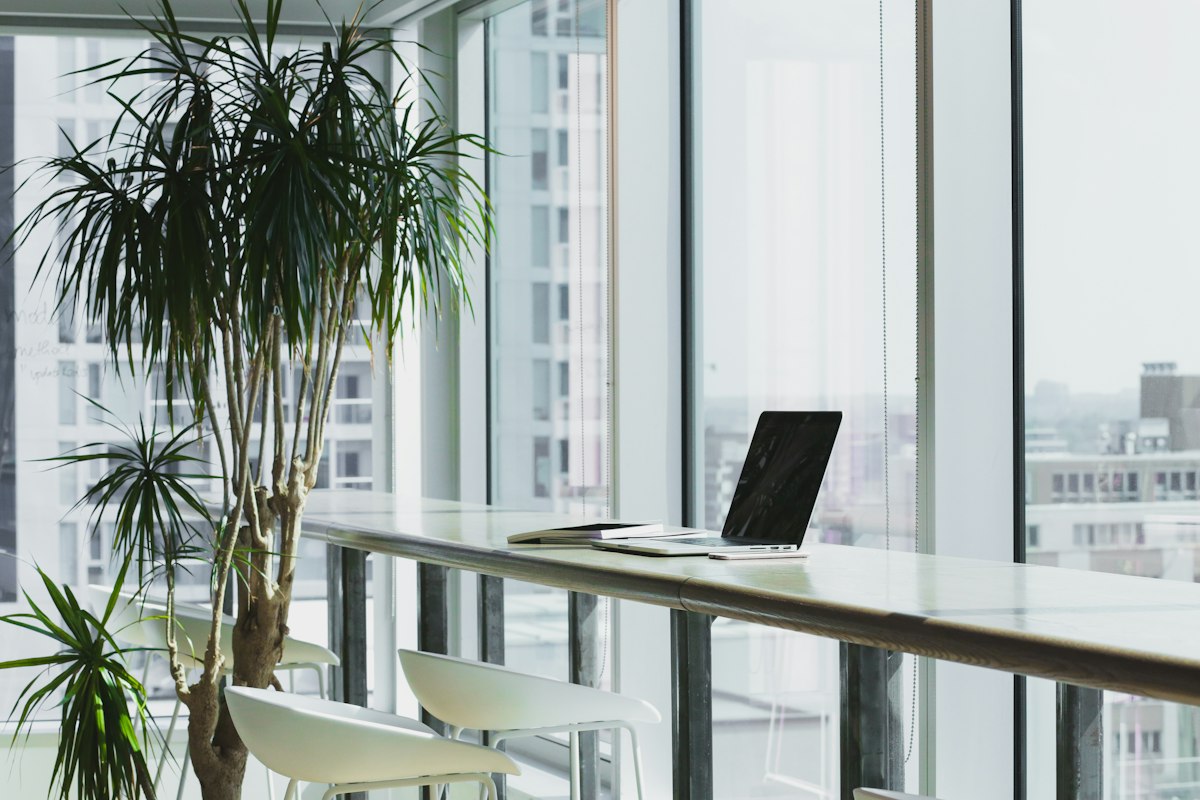 Web Design That Converts: 7 Things Every Business Website Needs